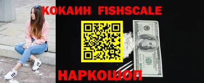 гашик Тверь