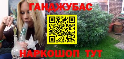 гашик Тверь