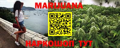 гашик Тверь
