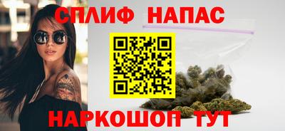гашик Тверь